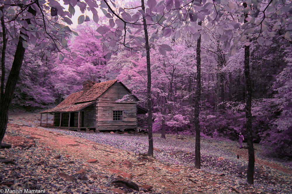 Infrared1-3 Light Chaser Manish Mamtani