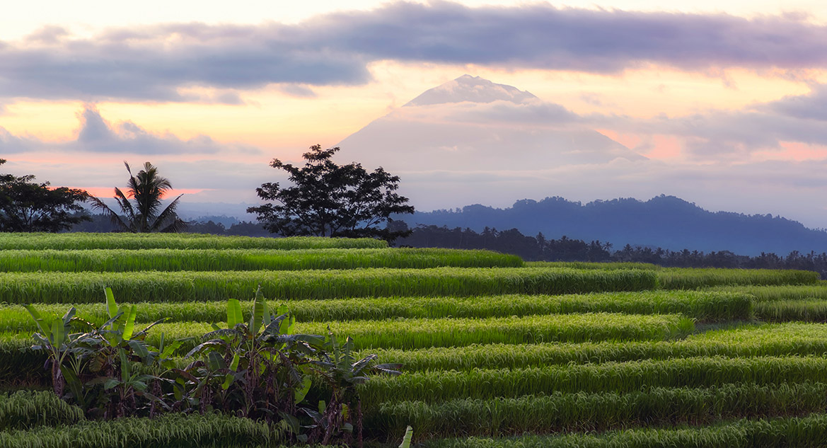 2-1 Quintessential Bali