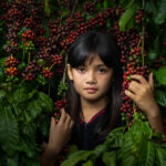 1-2-150x150 Exotic Vietnam