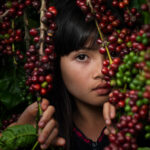 5-1-150x150 Exotic Vietnam